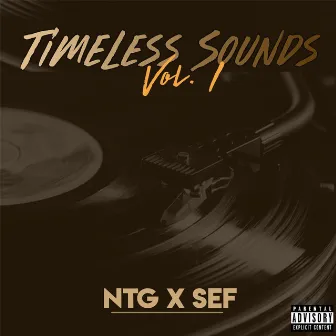 Timeless Sounds, Vol. 1 by Ntg