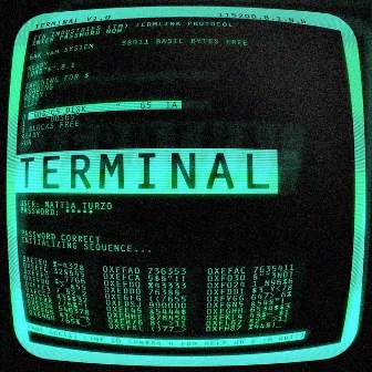 Terminal by Mattia Turzo