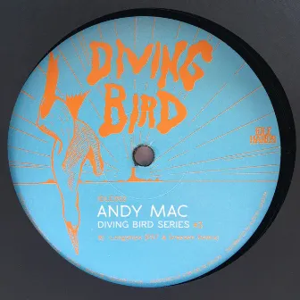 Diving Bird 3 by Andy Mac