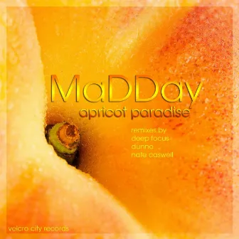 Apricot Paradise by Madday