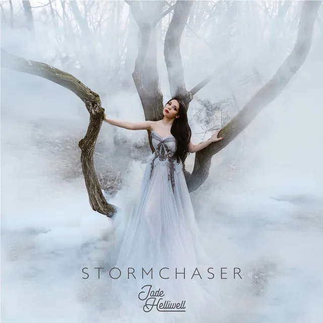 Stormchaser