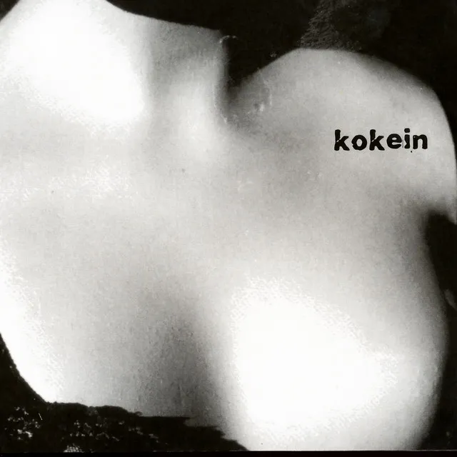 Kokein