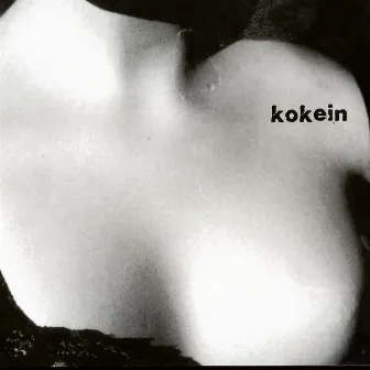 Kokein by Kokein