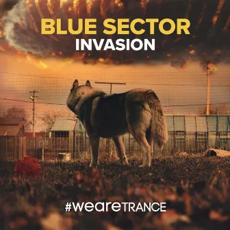 Invasion by Blue Sector