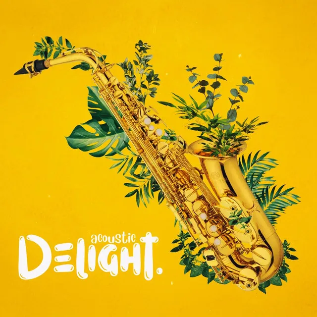 Delight - Acoustic