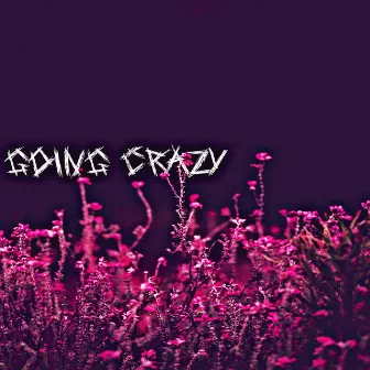 Going Crazy by Phillip Smith