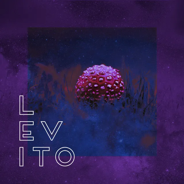 Levito