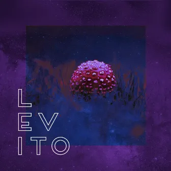 Levito by DavidgRamos