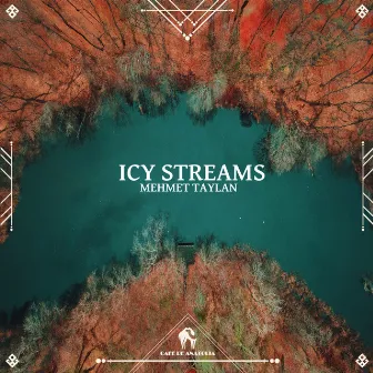 Icy Streams by Mehmet Taylan