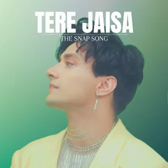 Tere Jaisa - The Snap Song by Aksh Baghla