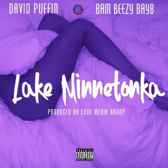 Lake Minnetonka by David Puffin'