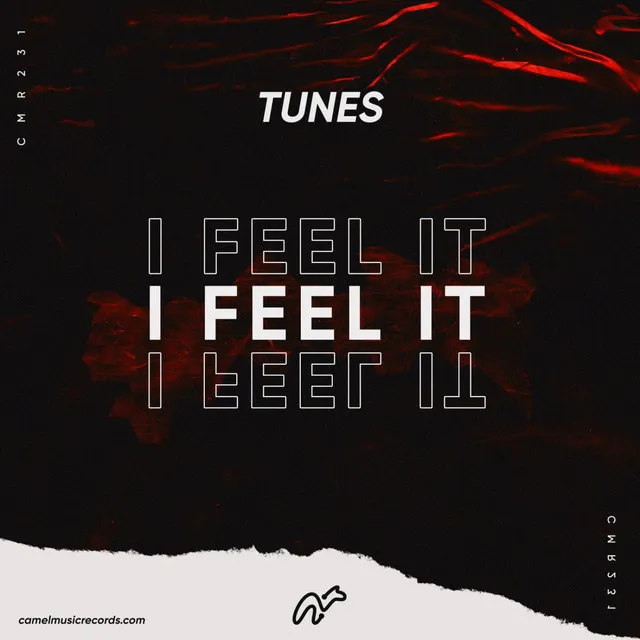 I Feel It - Original Mix