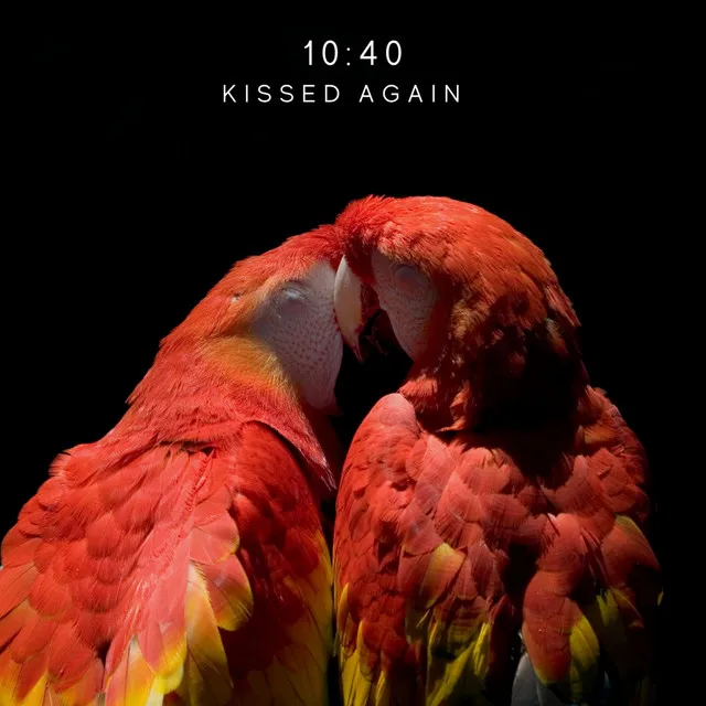 Kissed Again