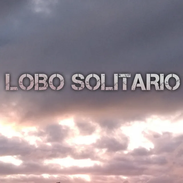 Lobo solitario