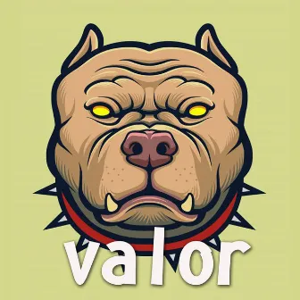 VALOR by One Face