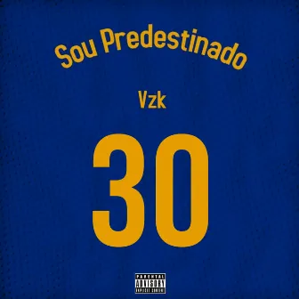 Sou Predestinado by VZK