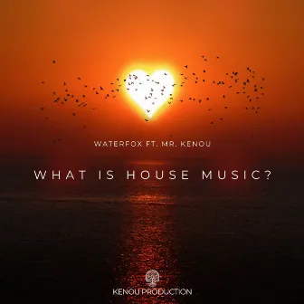 What Is House Music? (Radio Edit) by MR. KENOU