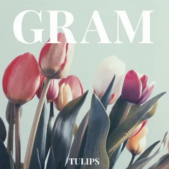 Tulips by Gram