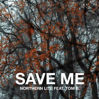 Save Me by Tom B.