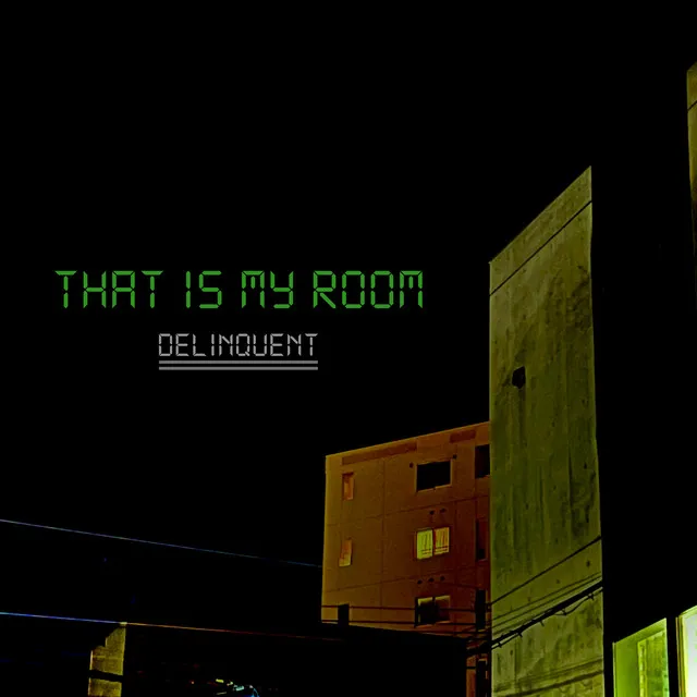 That is my room