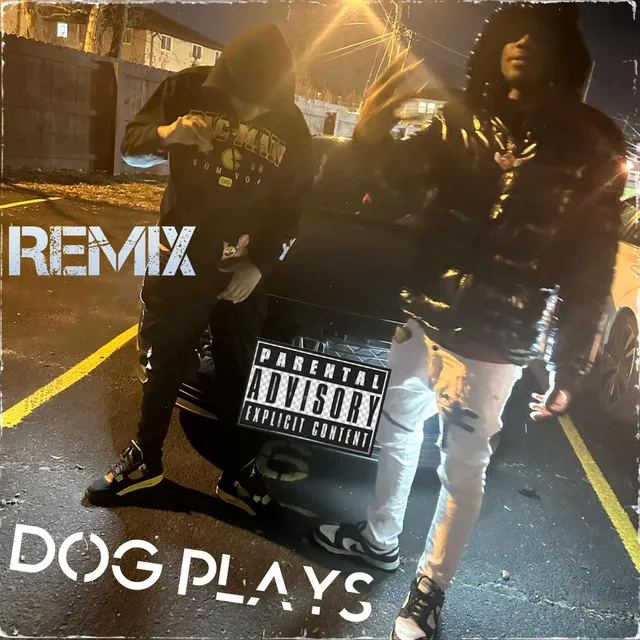 Dog plays (official Remix)