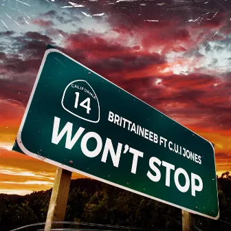 Wont Stop by Brittainee B