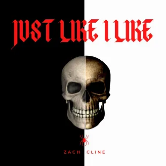 Just Like I Like by Zach Cline