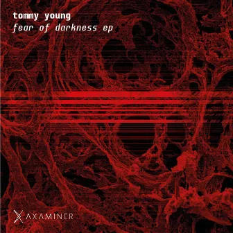 Fear of Darkness EP by Tommy Young