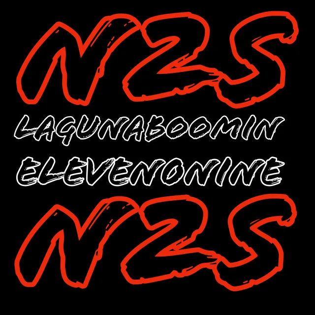 N2S