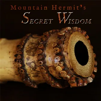 Mountain Hermit's Secret Wisdom by Cornelius Boots