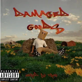 Damaged Goods by WorldbyTray