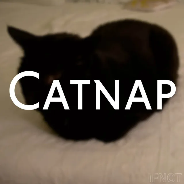 Catnap