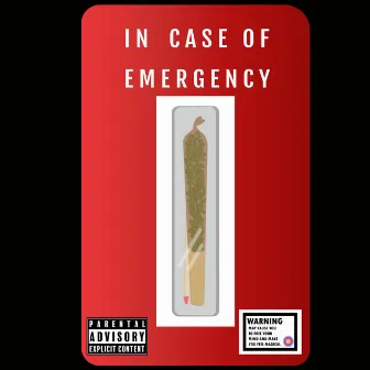 In Case of Emergency by Kaleido