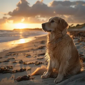 Calma Del Océano: Melodías Relajantes Para Mascotas by Gurú Dzen