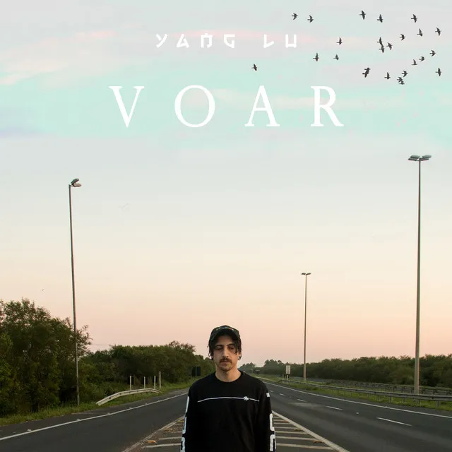 Voar