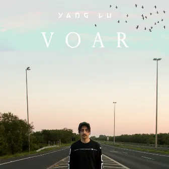 Voar by Yang Lu