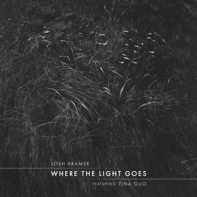 Where the Light Goes (feat. Tina Guo)