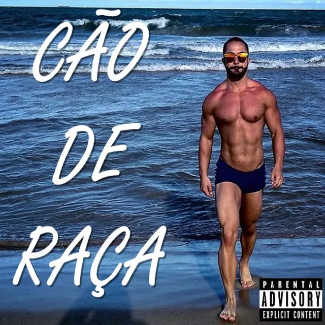 Cão de Raça