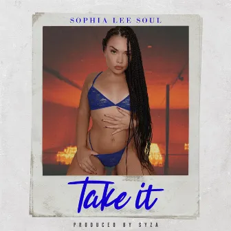 Take It by Sophia Lee Soul