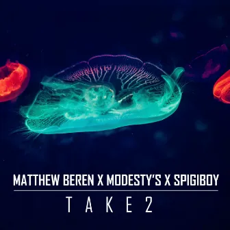 Take 2 by Modesty's