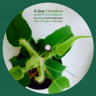 Citriodora by G-Day