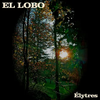 Élytres by El lobo