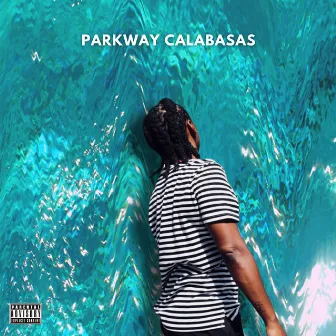 Parkway Calabasas by Bmacthequeen