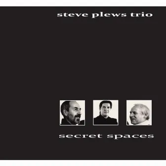 Secret Spaces by Steve Plews Trio