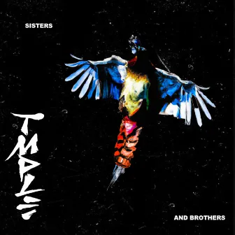 Sisters & Brothers by TMPLE