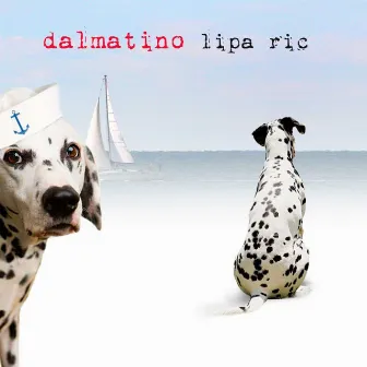 Lipa Rič by Dalmatino