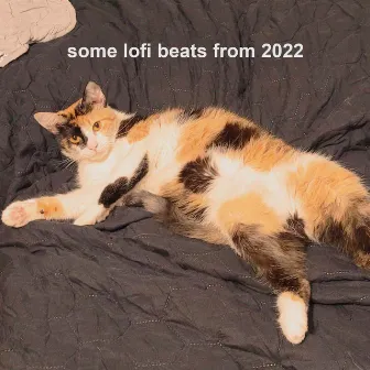 some lofi beats from 2022 by Katame