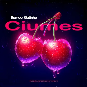 Ciumes by Romeo Gatinho