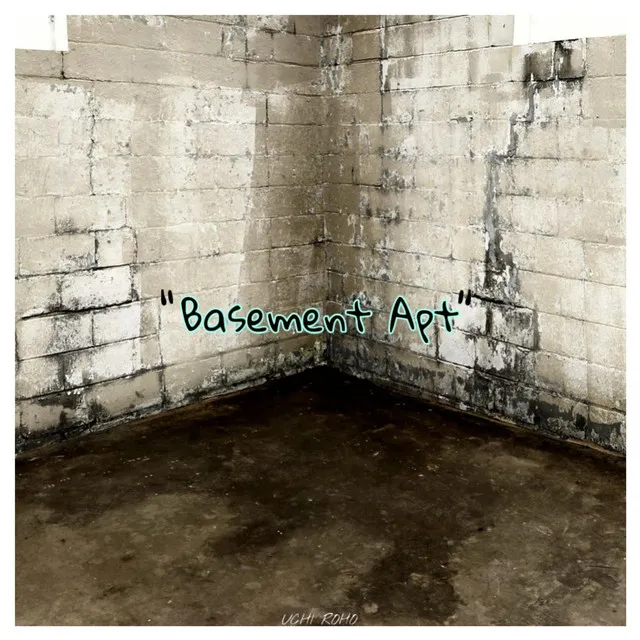 Basement Apt