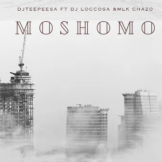 MOSHOMO by Dj Teepee SA